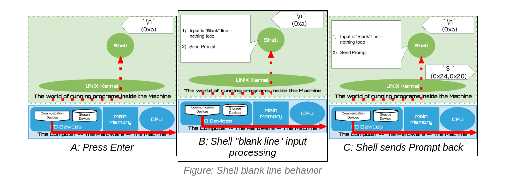 shell line behavior
